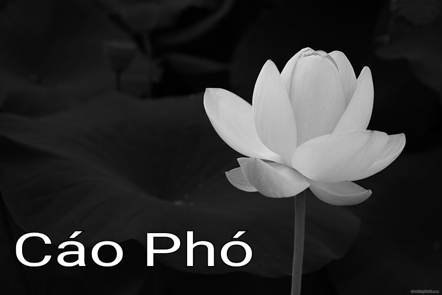 Cáo Phó là gì