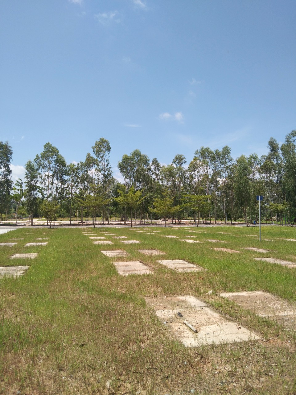 Ý nghĩa ngày Tết thanh minh